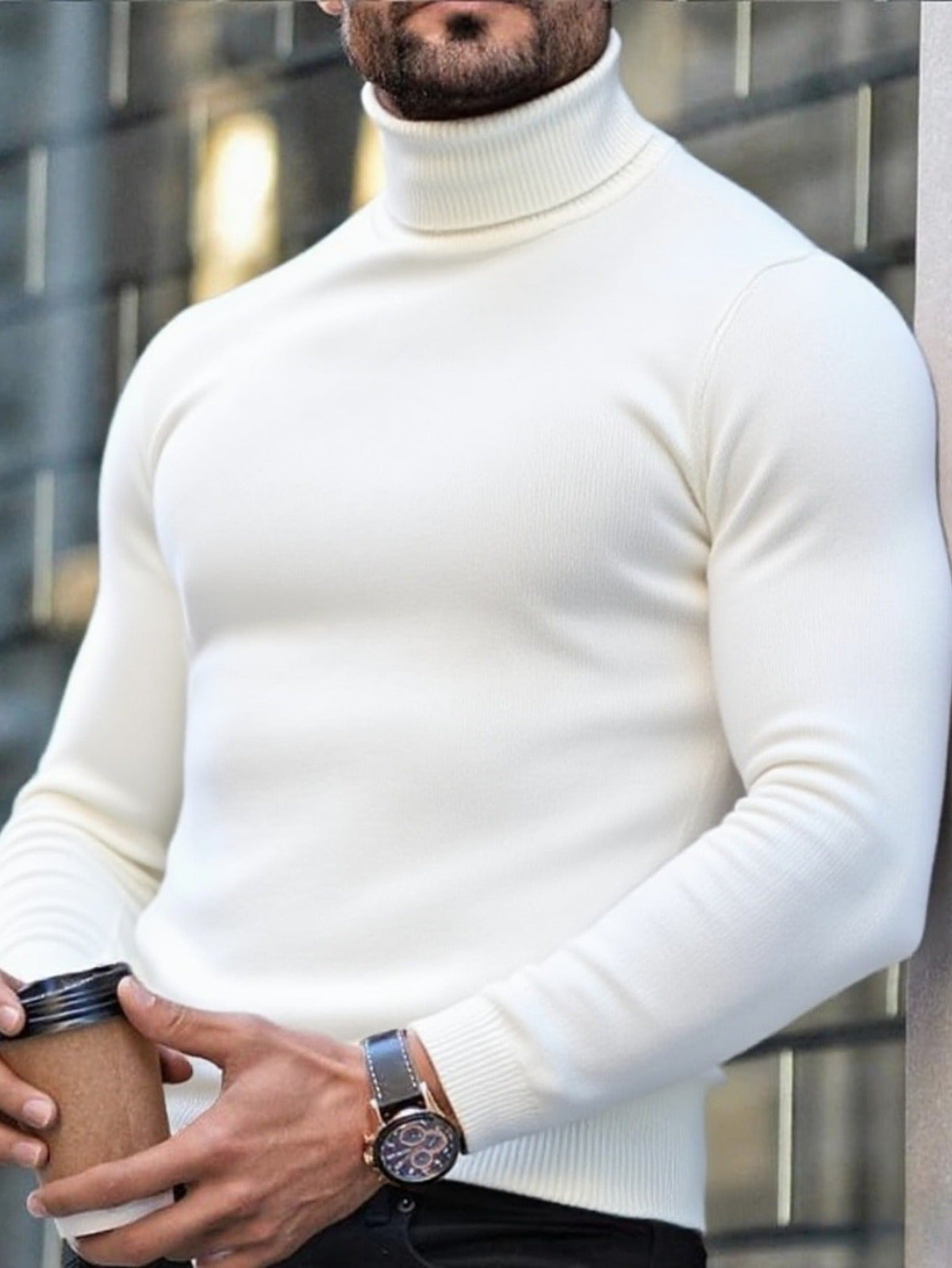 Emmanuel - Men's Turtleneck Ribbed Knit Sweater