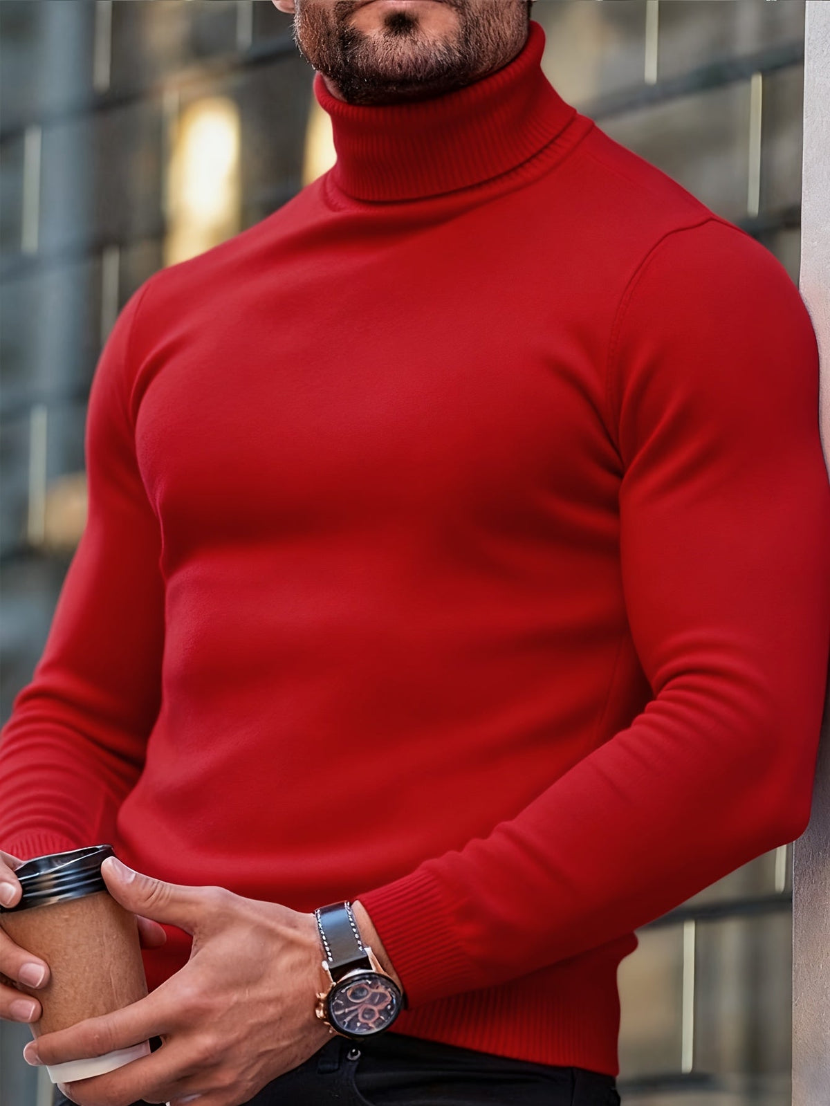 Emmanuel - Men's Turtleneck Ribbed Knit Sweater